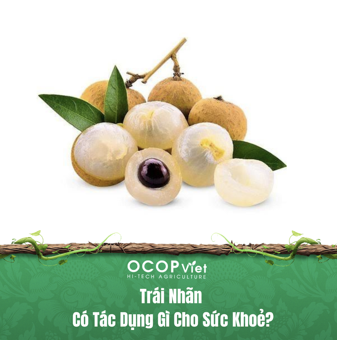 Trái Nhãn Có Tác Dụng Gì Cho Sức Khỏe?
