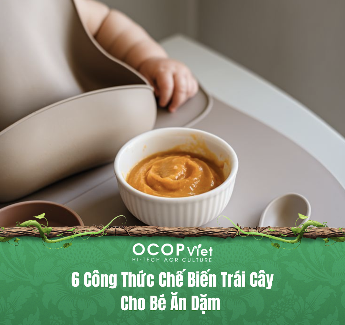 6 Công Thức Chế Biến Trái Cây Cho Bé Ăn Dặm