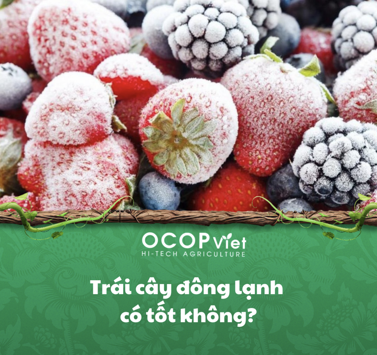 Trái cây đông lạnh có tốt không?