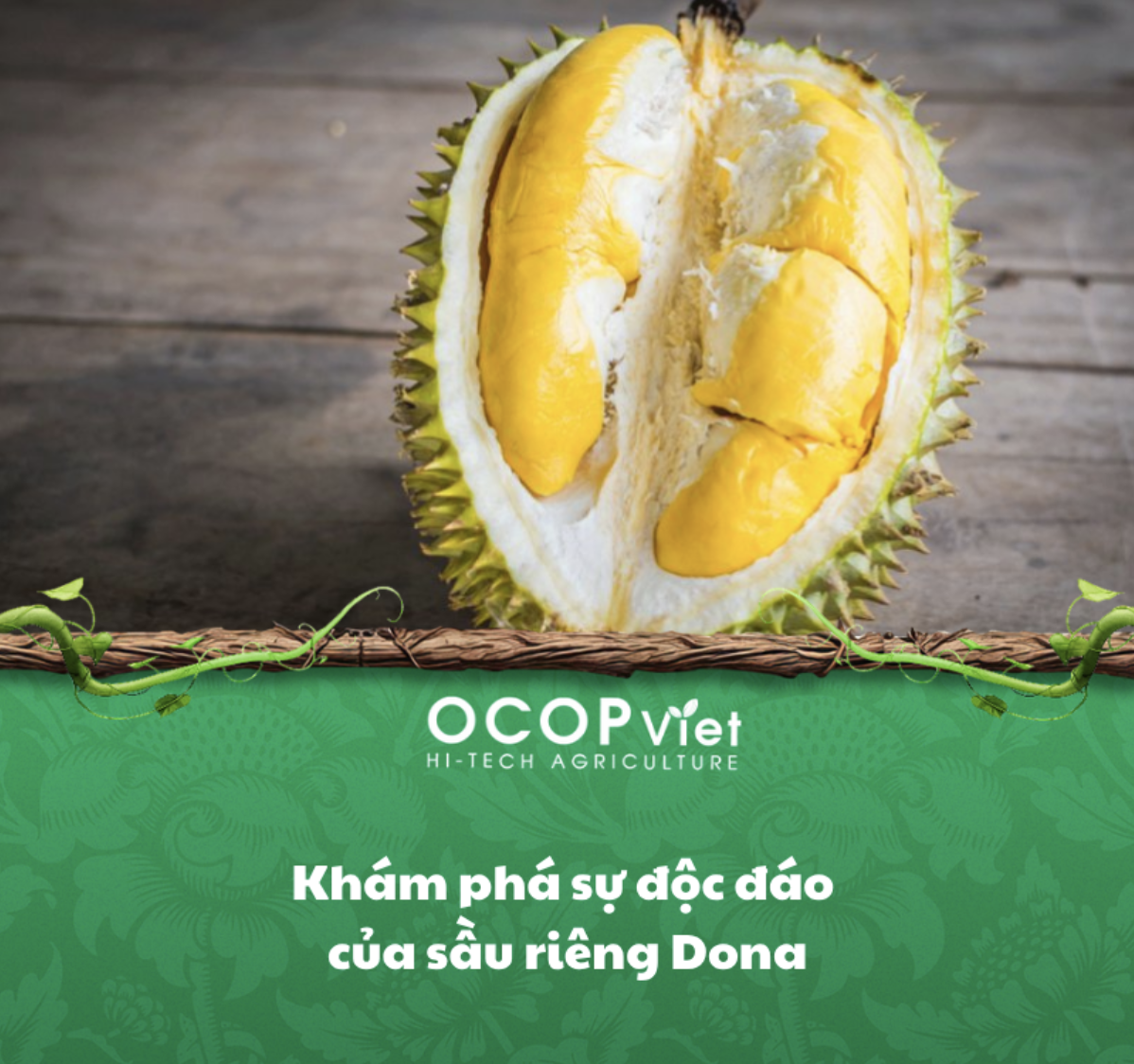 Khám phá sự độc đáo của sầu riêng Dona