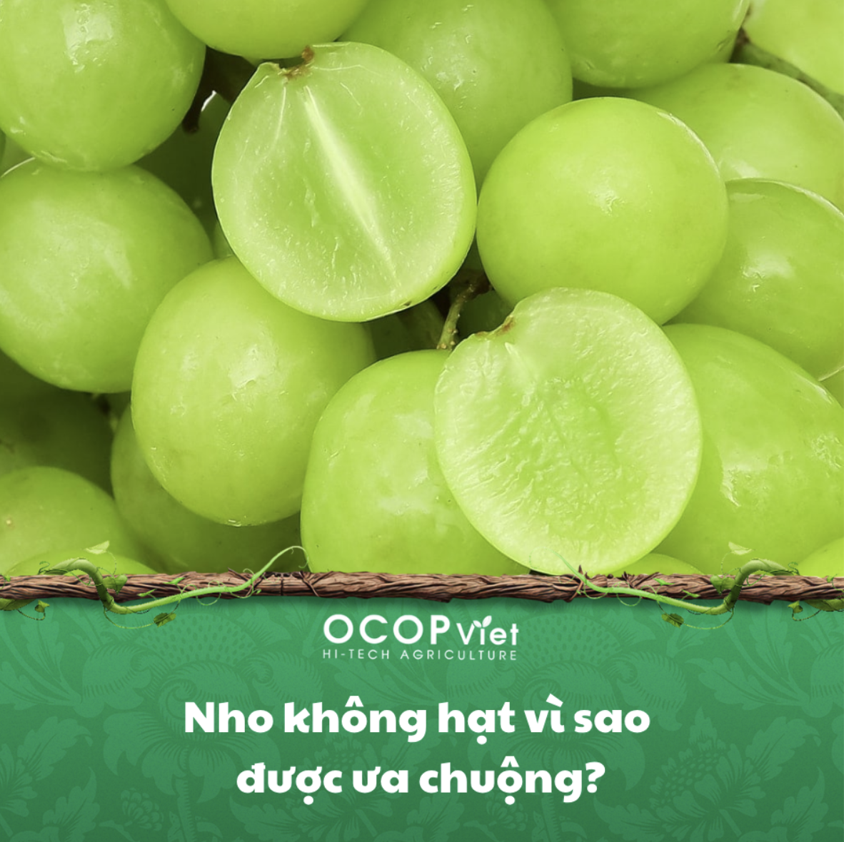 Nho không hạt vì sao được ưa chuộng?