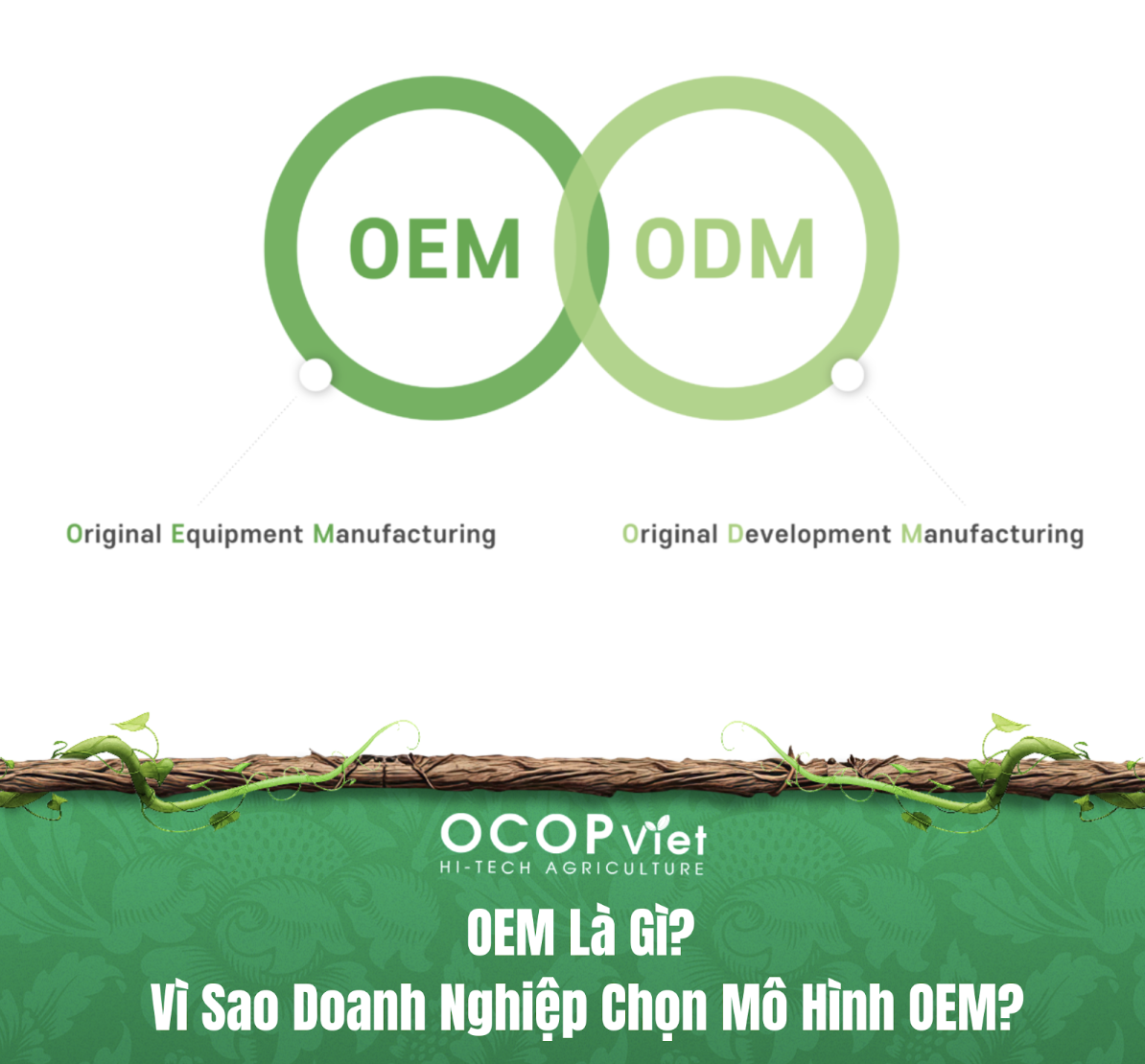 OEM Là Gì? Vì Sao Doanh Nghiệp Chọn Mô Hình OEM?