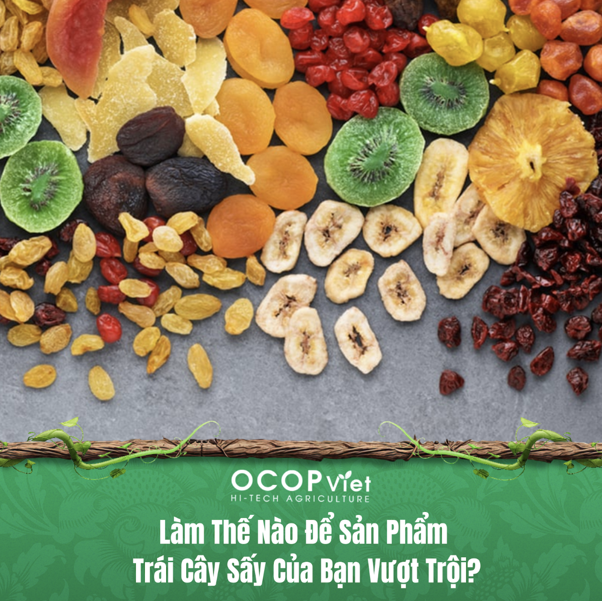 Làm Thế Nào Để Sản Phẩm Trái Cây Sấy Của Bạn Vượt Trội?