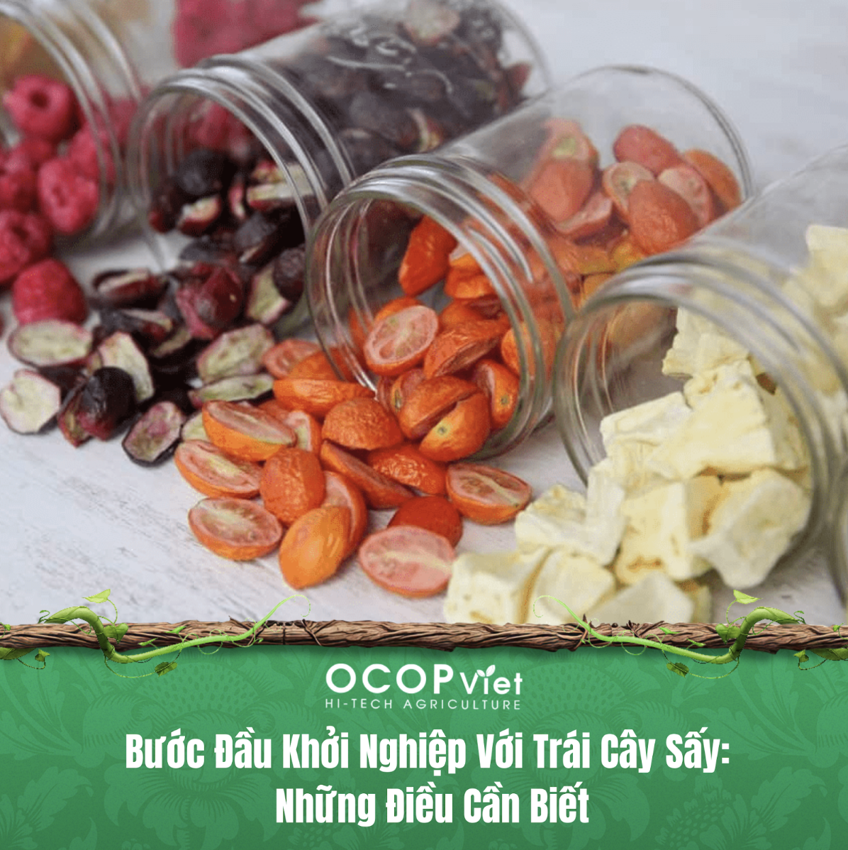 Bước Đầu Khởi Nghiệp Với Trái Cây Sấy: Những Điều Cần Biết