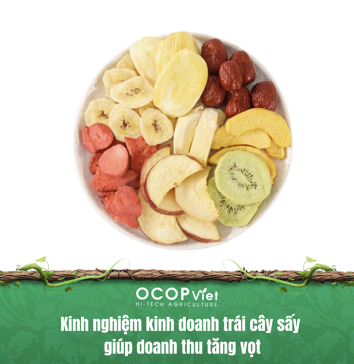 Kinh nghiệm kinh doanh trái cây sấy giúp doanh thu tăng vọt