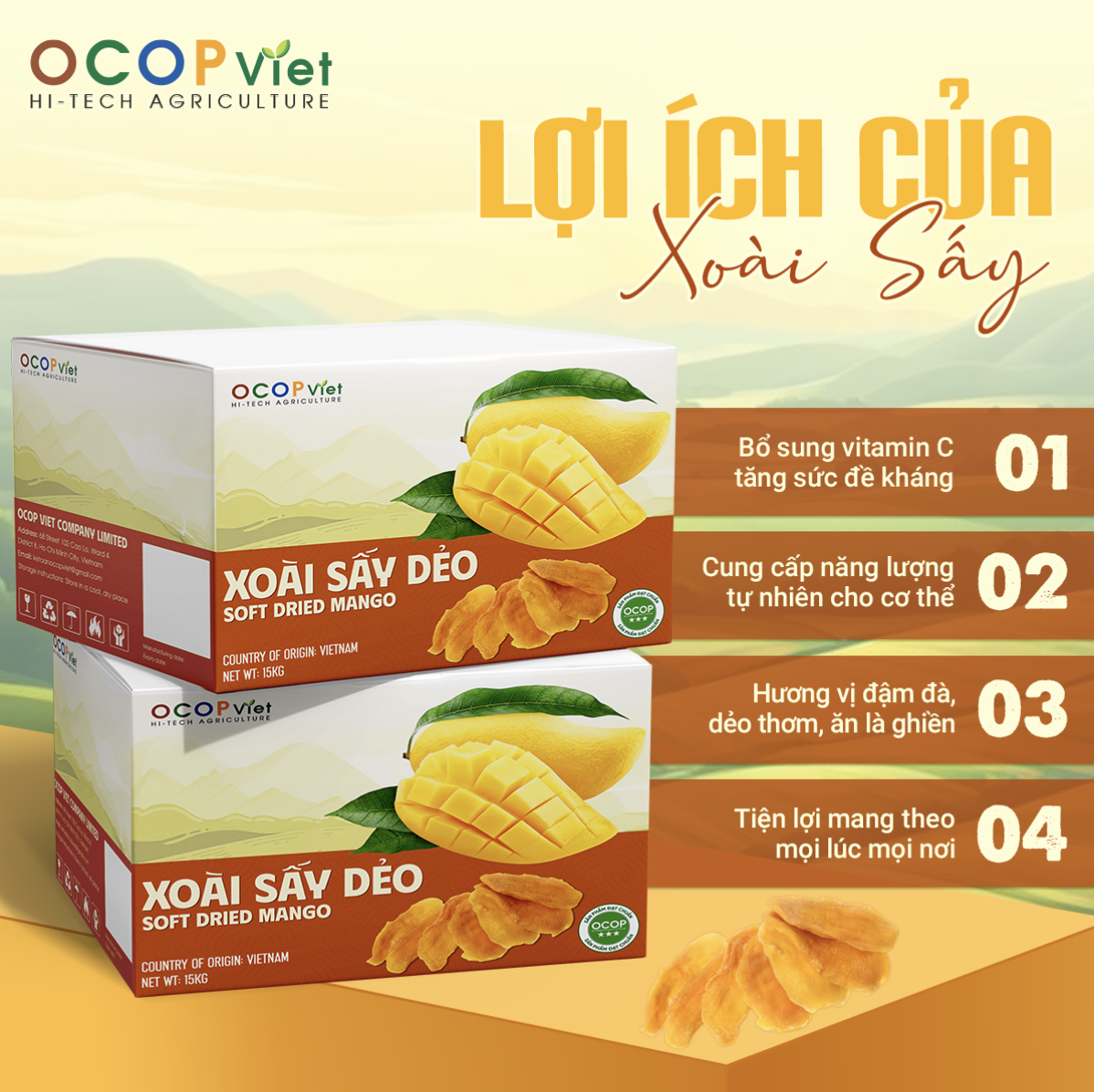 Bí Quyết Chọn Mua Trái Cây Sấy Giá Sỉ Không Bị Hớ