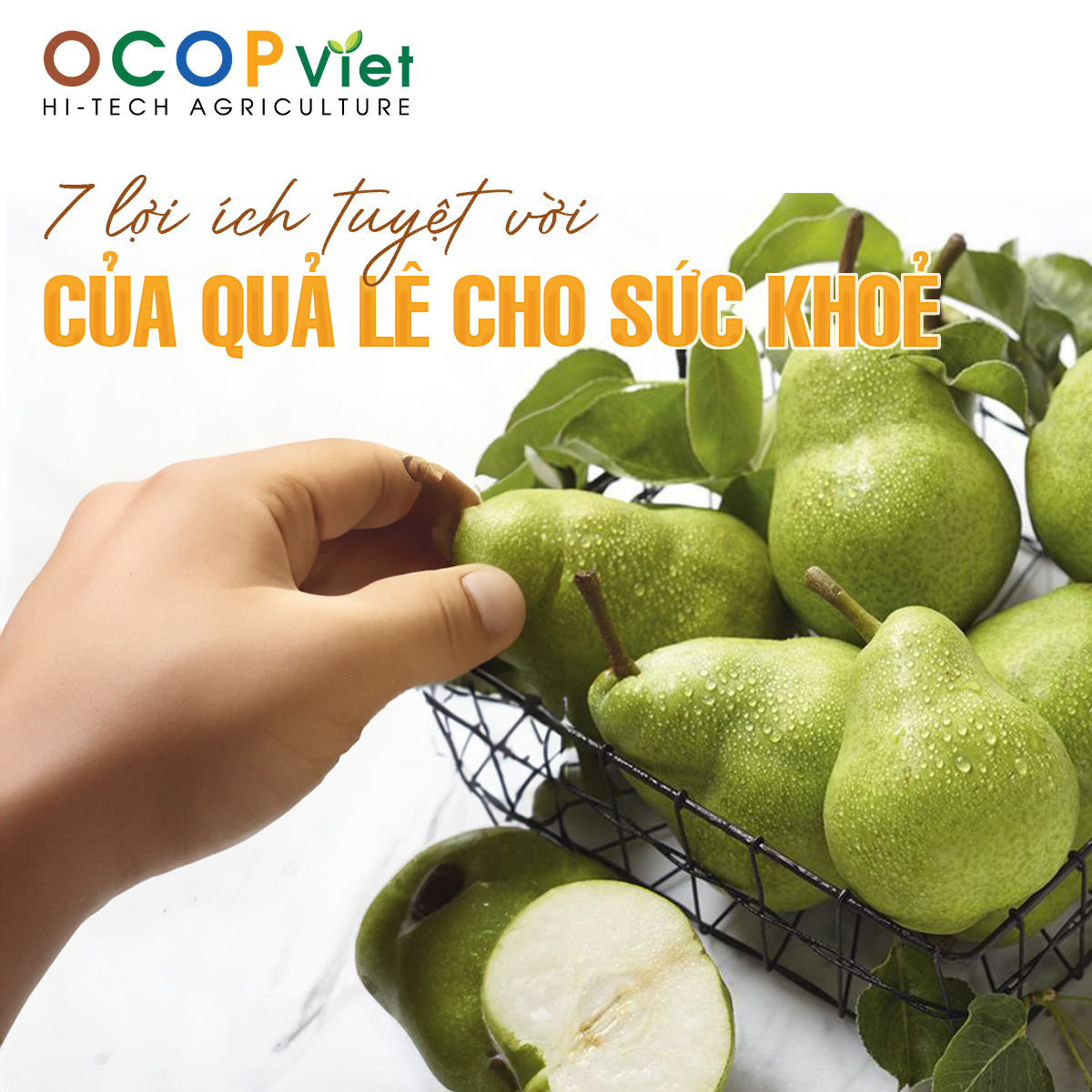 7 Lợi Ích Tuyệt Vời Của Quả Lê Cho Sức Khoẻ