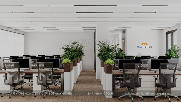 Hình ảnh bài viết