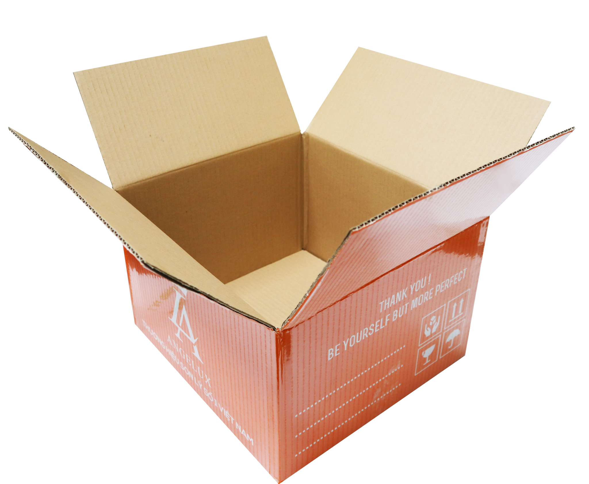 Thùng carton cán màng PE? Tìm hiểu 10 địa chỉ sản xuất uy tín Long An