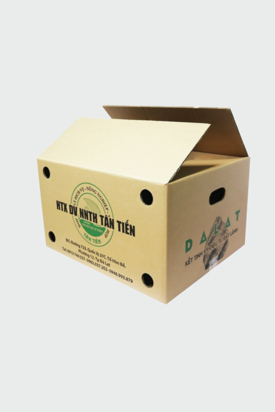 Top 3 công ty bao bì carton lớn và uy tín ở TPHCM