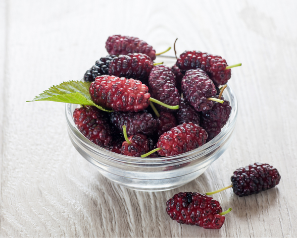 Dâu tằm - Nguyên liệu chính tạo nên lớp Mulberry Glaze