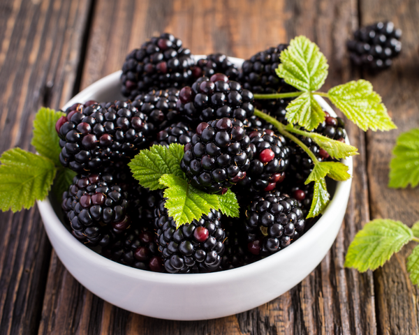 Mâm xôi đen - Nguyên liệu chính tạo nên Blackberry Glaze