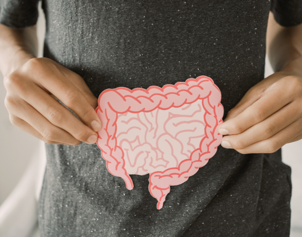 Chữa Lành Đường Ruột: Chìa Khóa Vàng Kích Hoạt Khả Năng Tự Phục Hồi | Theo PGS.TS.BS Lê Xuân Hải