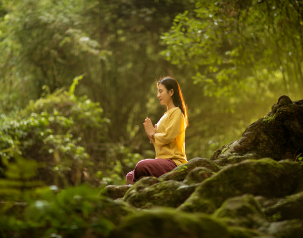 Tâm Trí Chữa Lành: Vai Trò Sâu Sắc Của Tinh Thần Và Cảm Xúc Trong Điều Hòa Miễn Dịch | Theo PGS.TS.BS Lê Xuân Hải