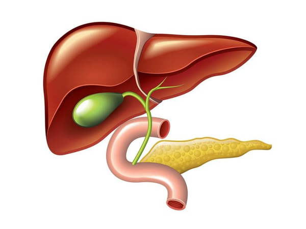 Hình ảnh bài viết