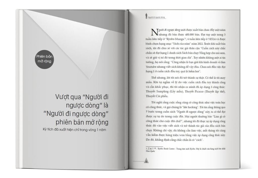 Nội dung trong sách The Reverser Người đi ngược dòng - Chiến lược 7 bước để đạt được tự do trong tài chính và