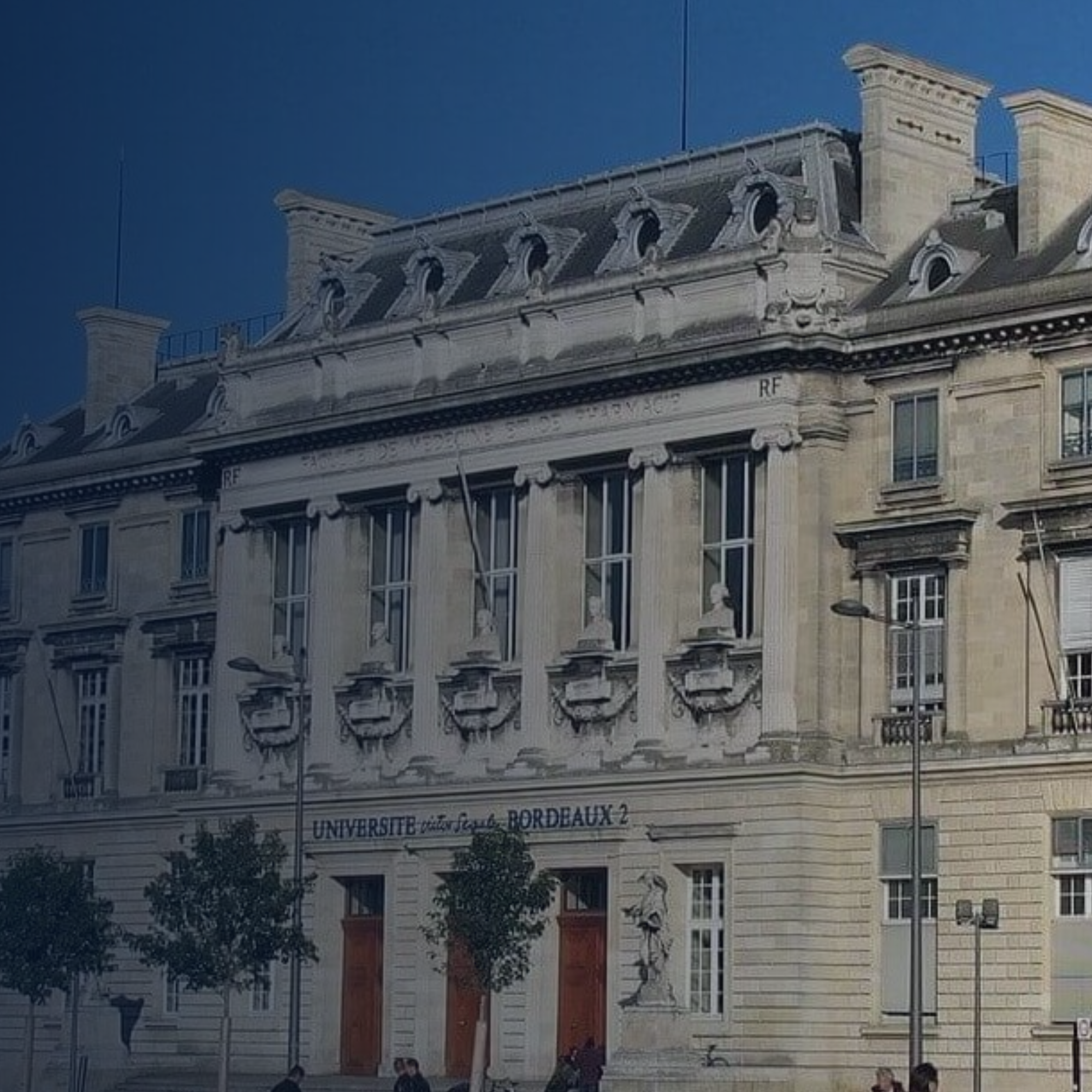 ĐIỀU KIỆN VÀ YÊU CẦU ĐẦU VÀO CHO CHƯƠNG TRÌNH CỬ NHÂN TẠI PHÁP