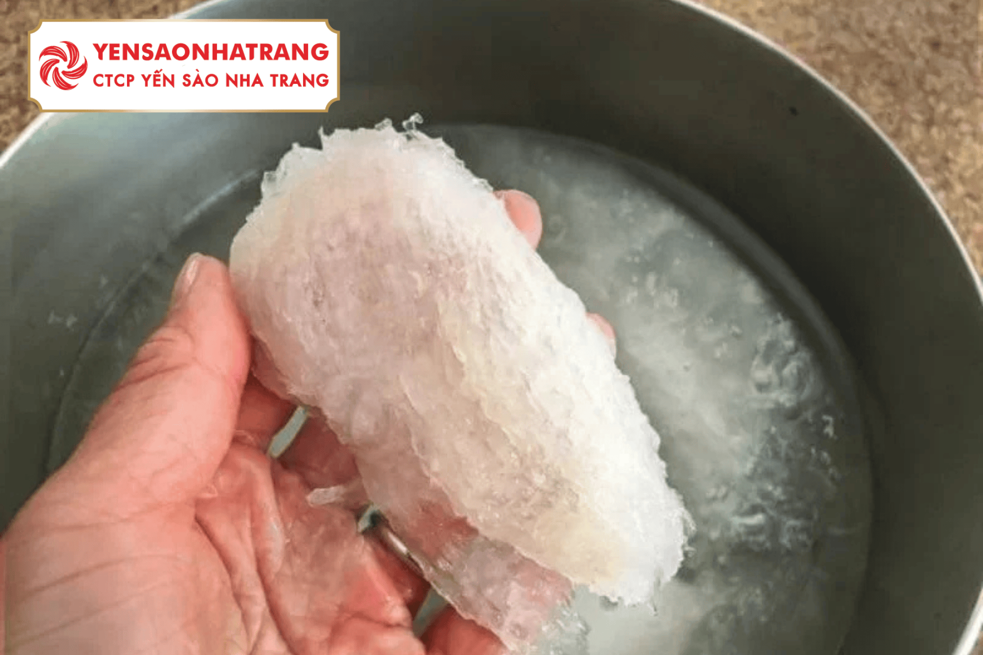 Có nên ngâm tổ yến qua đêm? Những sai lầm nhiều người mắc phải khi chế biến yến sào
