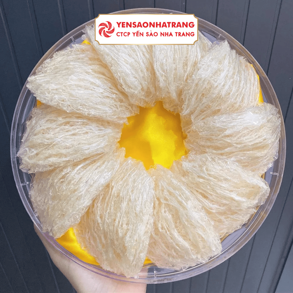 Tổ yến tinh chế là gì? So sánh tổ yến thô và tinh chế nên chọn loại nào?