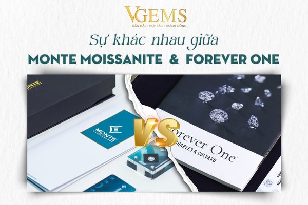 SO SÁNH MONTE MOISSANITE VÀ FOREVER ONE CỦA CHARLES & COLVARD - ĐÂU LÀ SỰ LỰA CHỌN HOÀN HẢO CHO BẠN ?