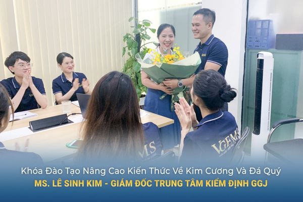 Vgems Đào Tạo Nâng Cao Kiến Thức Về Kim Cương Và Đá Quý