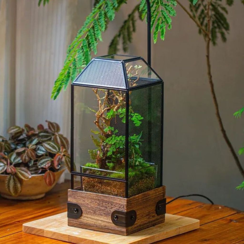Terrarium 
