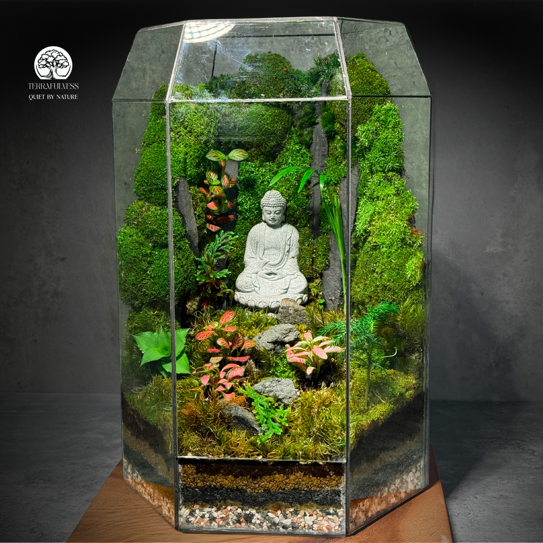 Zen Terrarium: Khu Vườn Tĩnh Lặng Mang Năng Lượng Thiền Định & Phong Thủy