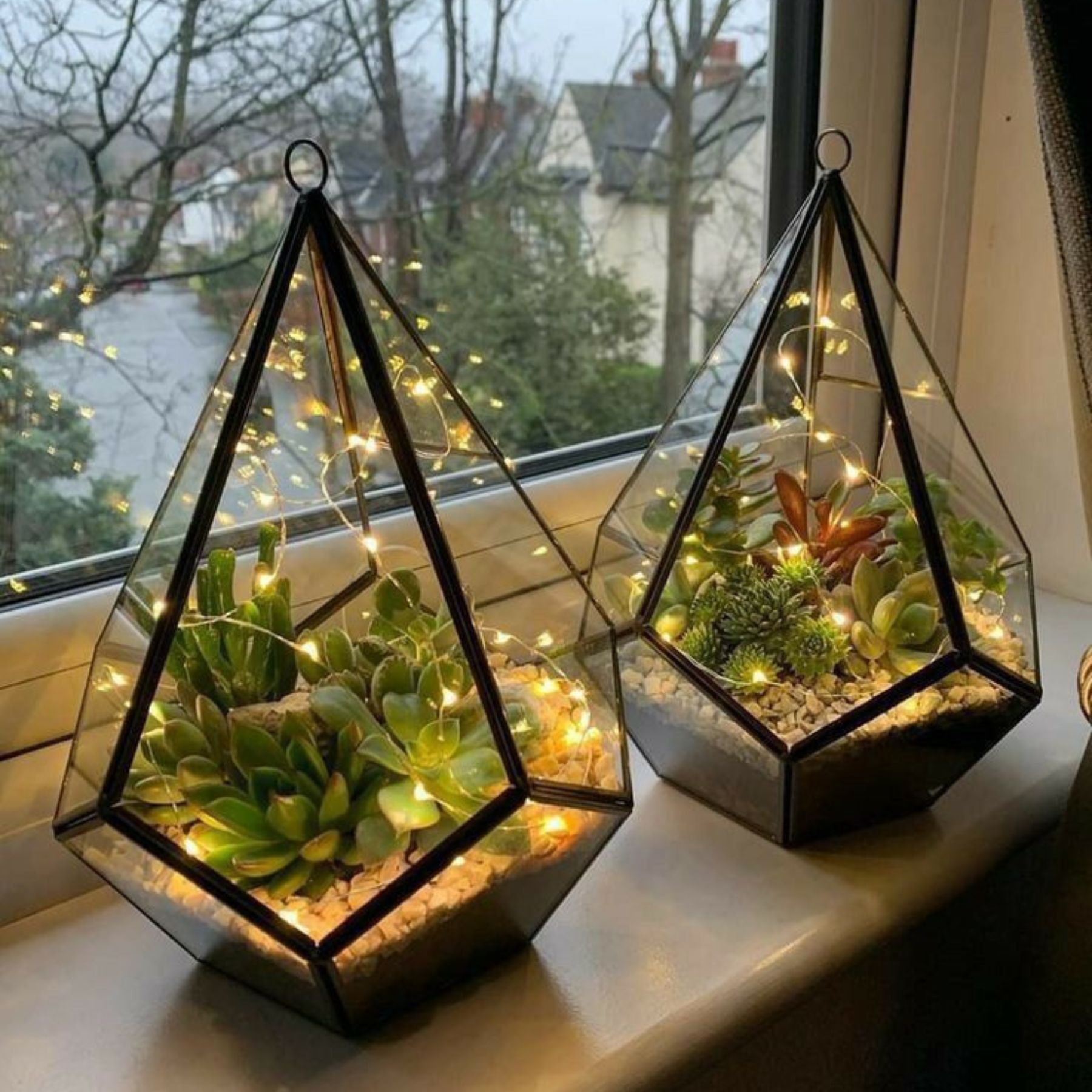 Terrarium & Nội Thất: Khu Vườn Tĩnh Lặng, Điểm Nhấn Cá Tính Cho Ngôi Nhà Bạn