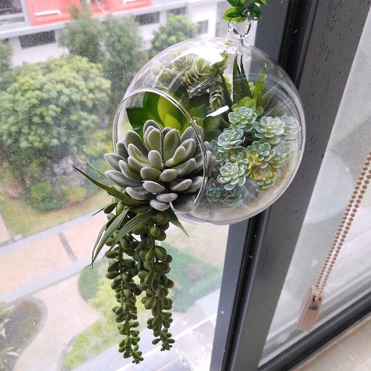 Terrarium Để Bàn: 