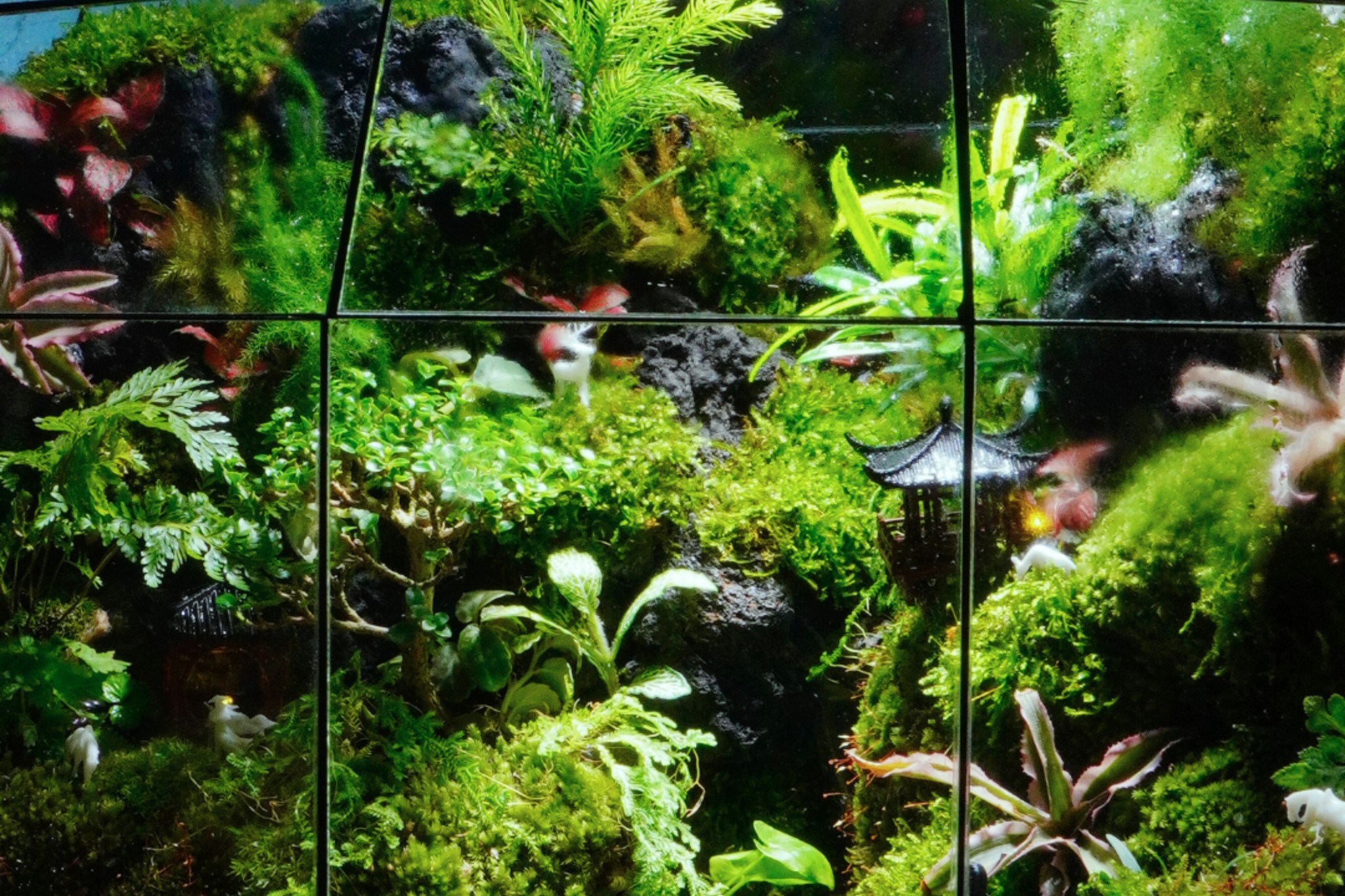 Giải Tỏa Stress Với Bể Bán Cạn – Kết Nối Thiên Nhiên Qua Dòng Nước Nhỏ Hài Hòa