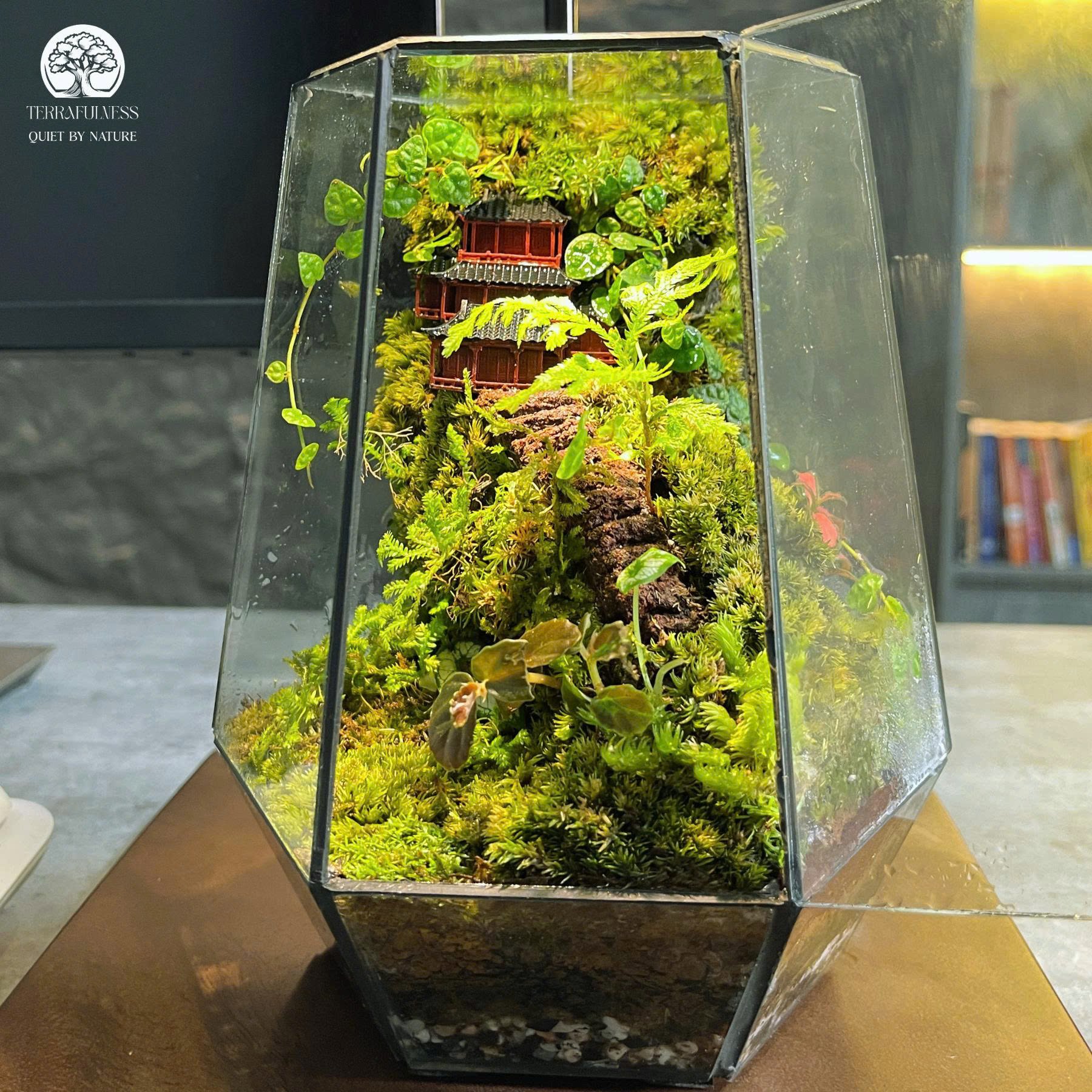Terrarium – Nguồn Cảm Hứng Sáng Tạo Xanh Bất Tận Cho Con Người