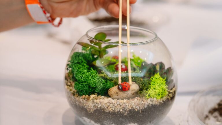 Tặng Terrarium Cho Người Yêu | Món Quà Xanh Tinh Tế & Ý Nghĩa 