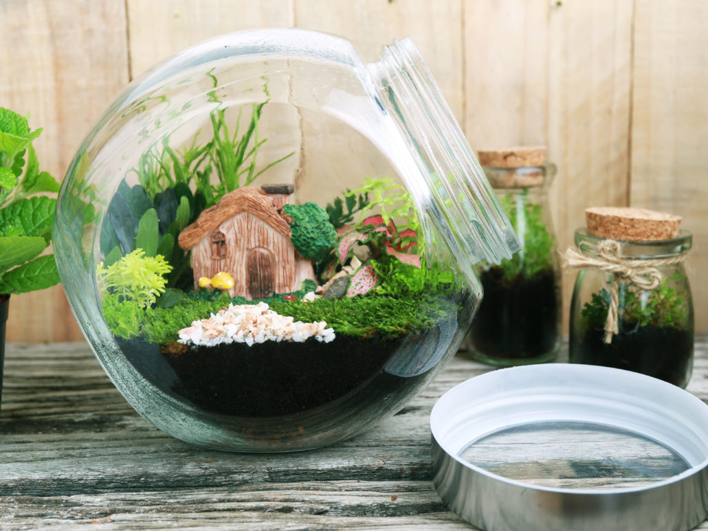 Bắt Tay Vào Việc: Hướng Dẫn Từng Bước Chi Tiết Cách Tự Làm Terrarium Tại Nhà