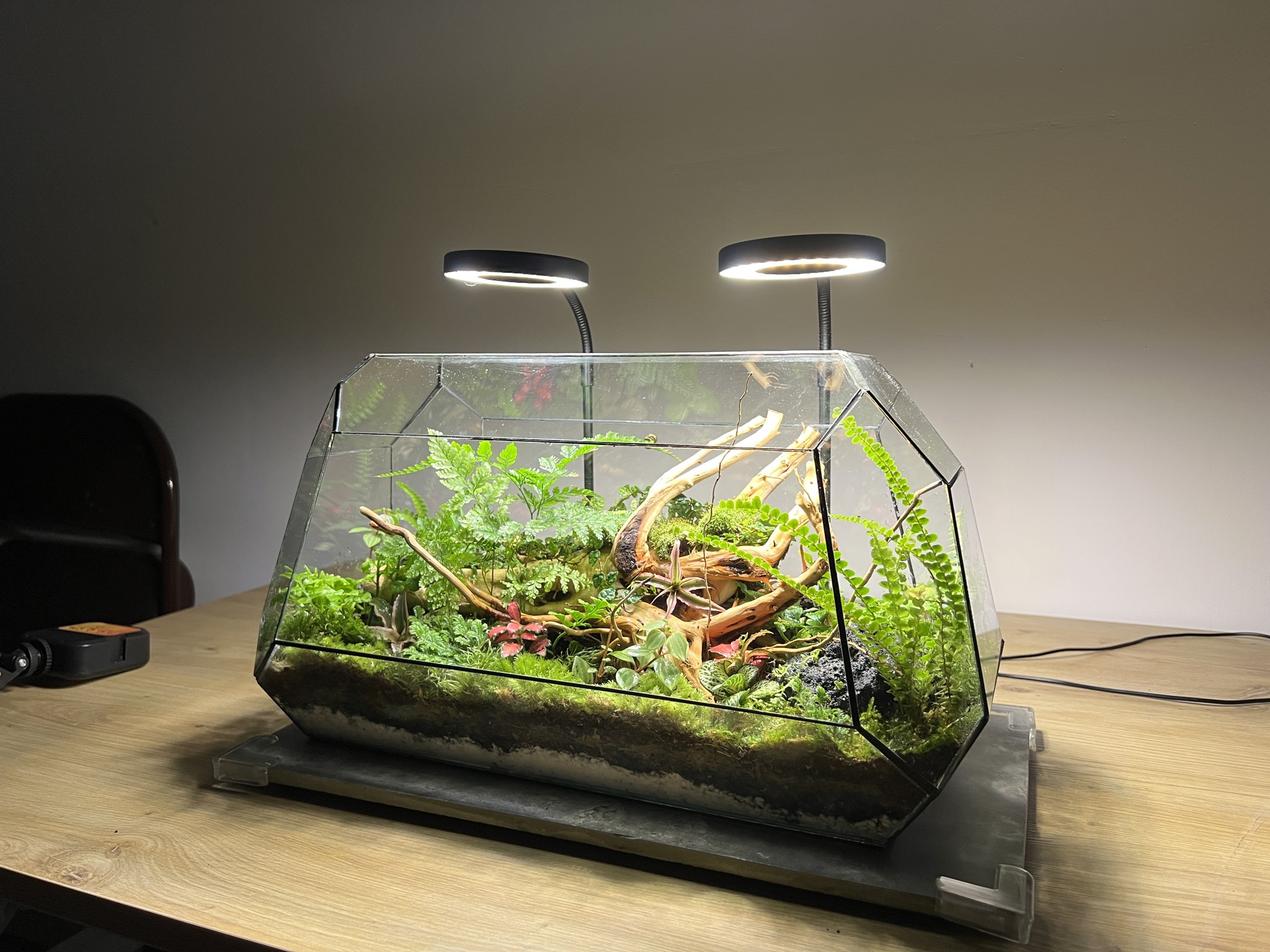 Gửi Bạn – Người Đang Tìm Kiếm Một Góc Xanh Cân Bằng Giữa Hối Hả & Lặng Yên