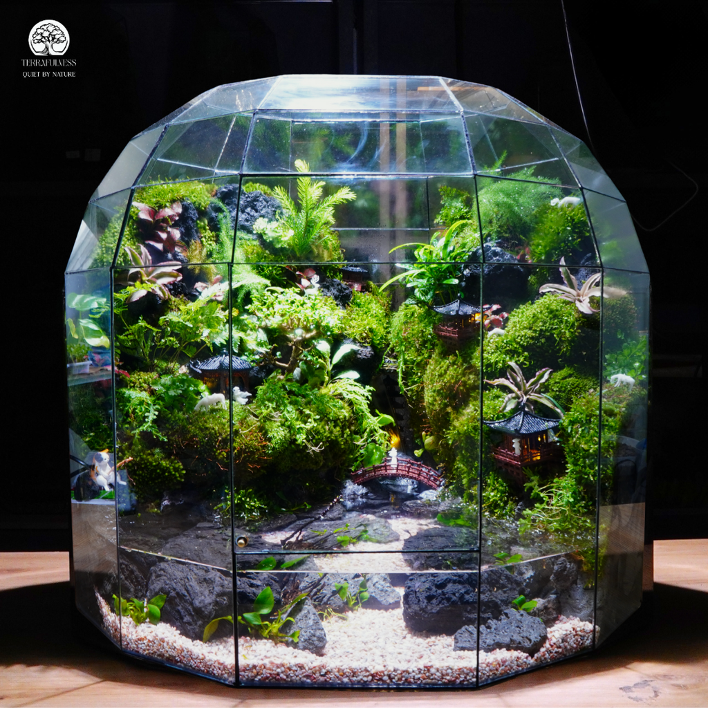 Thiết kế bán cạn kết hợp terrarium cho người mới: 