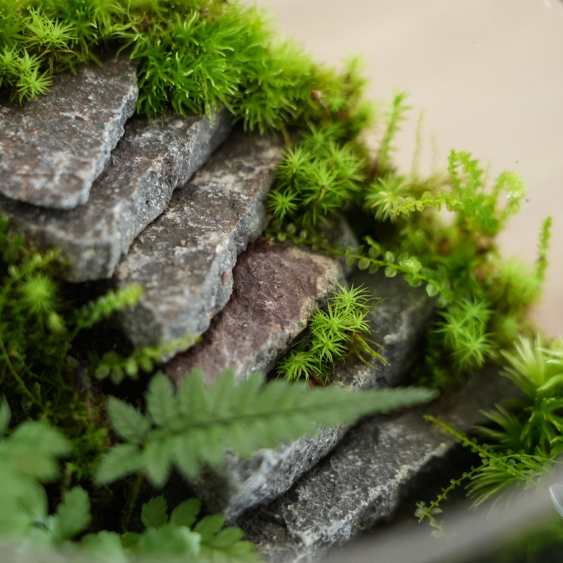 Chạm vào thiên nhiên, sống chậm từng ngày.