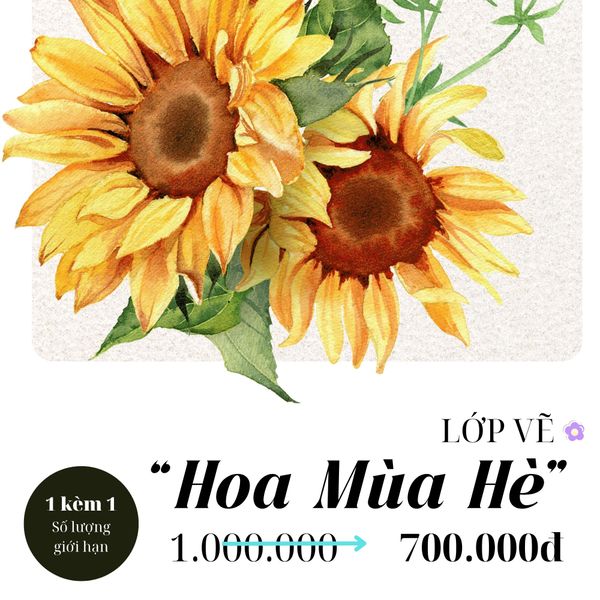 Lớp vẽ dành cho người cao tuổi