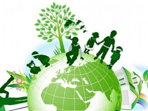 Báo giá dịch vụ quan trắc môi trường trong doanh nghiệp