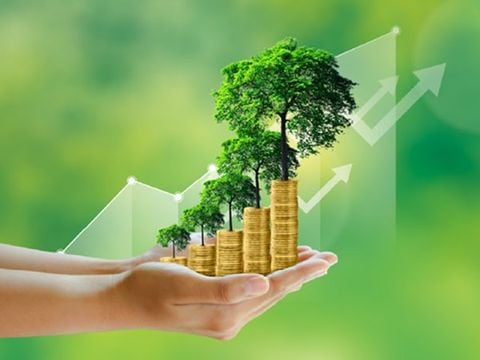 Các loại hồ sơ môi trường theo quy định mới