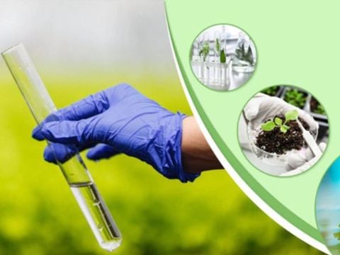 Môi Trường VinaEnvi - Công ty quan trắc môi trường uy tín, hàng đầu hiện nay