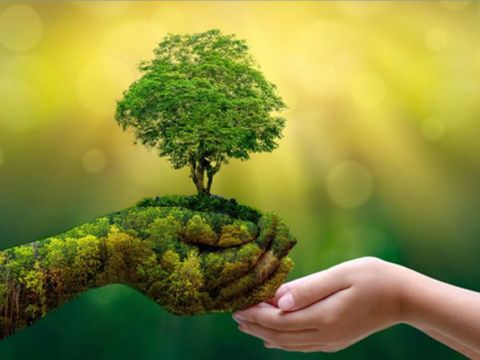 Thông tư mới nhất về giấy phép xả thải vào nguồn nước từ A - Z