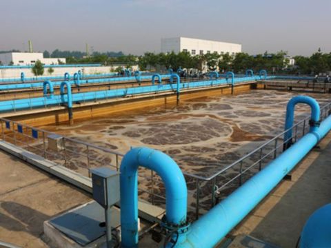Bể hiếu khí là gì? Nguyên lý của bể hiếu khí trong xử lý nước thải