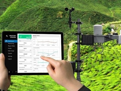 Quan trắc môi trường là gì? Đơn vị quan trắc môi trường uy tín NHẤT