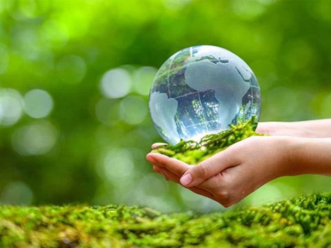 Tiết lộ các cơ quan có thẩm quyền cấp giấy phép môi trường