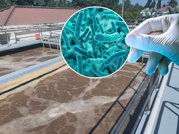 Mách nhỏ quy trình xử lý vi sinh xử lý nước thải mới nhất