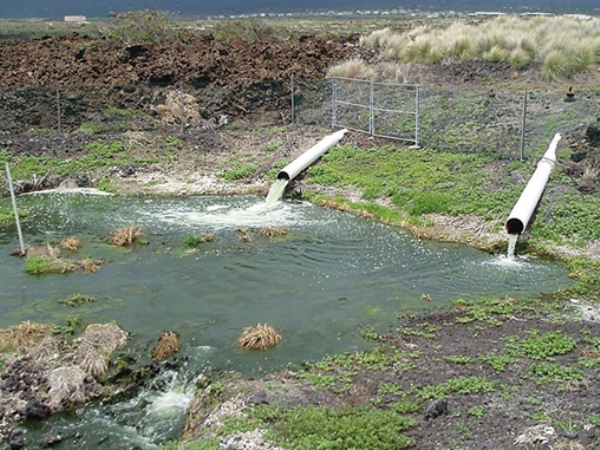 Coliform là gì? Cách xử lý coliform trong nước thải hiệu quả – VINAENVI