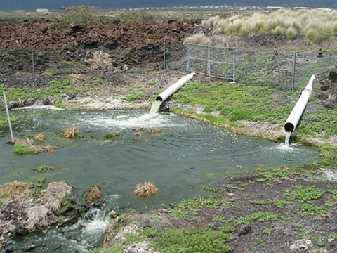 Coliform là gì? Cách xử lý coliform trong nước thải hiệu quả