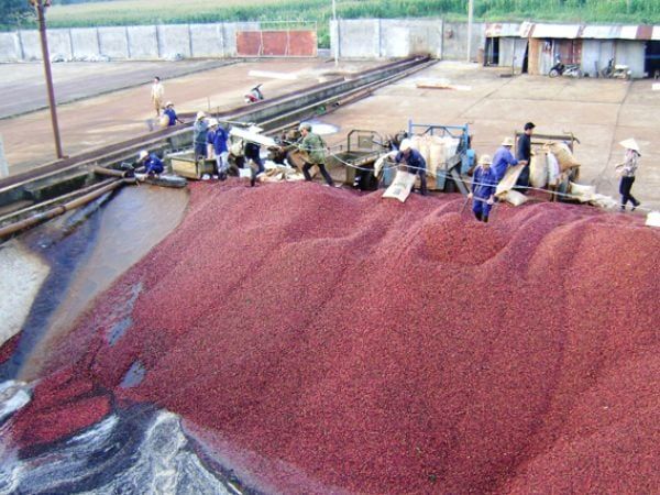 Khám phá hệ thống xử lý nước thải mực in chuẩn xác, chi tiết NHẤT