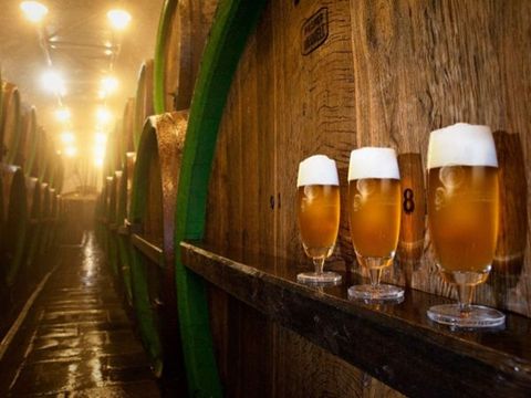 Quy trình xử lý nước thải sản xuất bia đúng quy định hiện hành