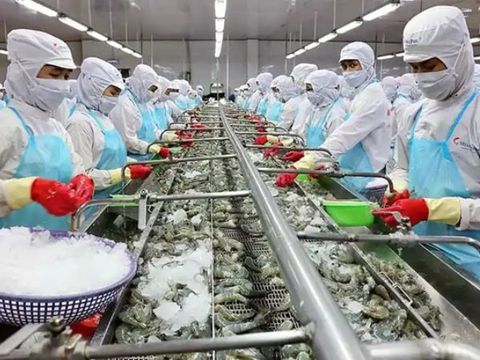 Tìm hiểu công nghệ xử lý nước thải thủy sản đạt chuẩn theo pháp luật